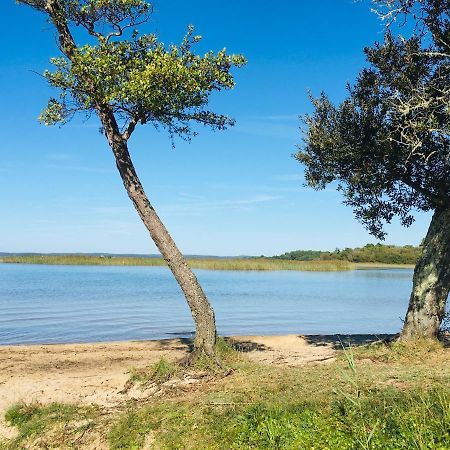 Maisonnette A 300 M Du Lac De Biscarrosse Eksteriør bilde